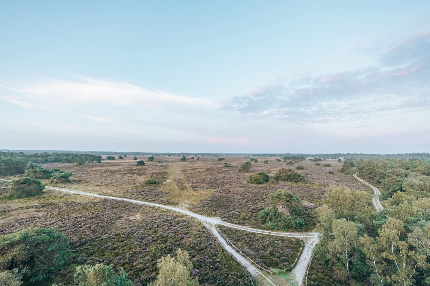 Heide Gelderland