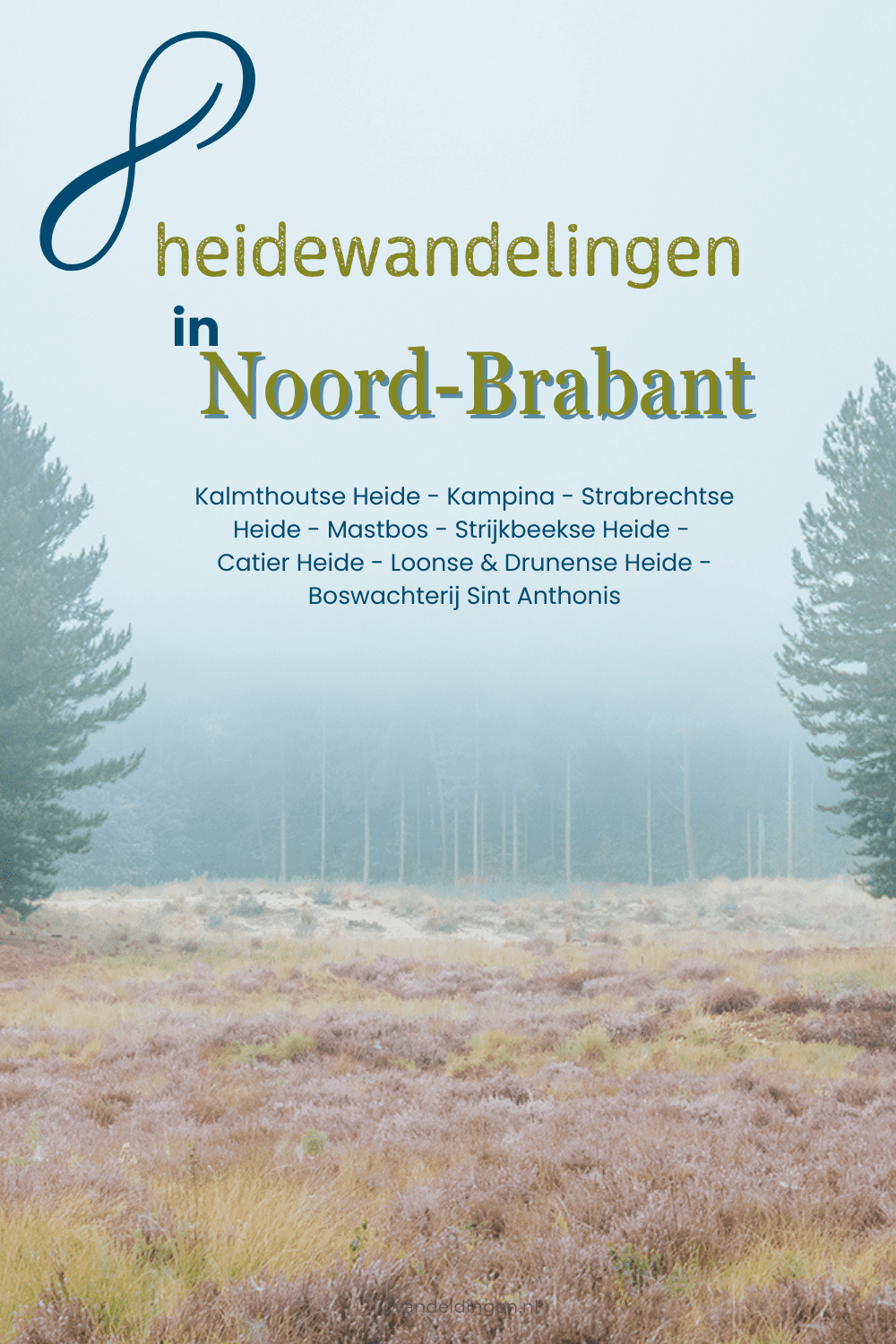 heide Brabant