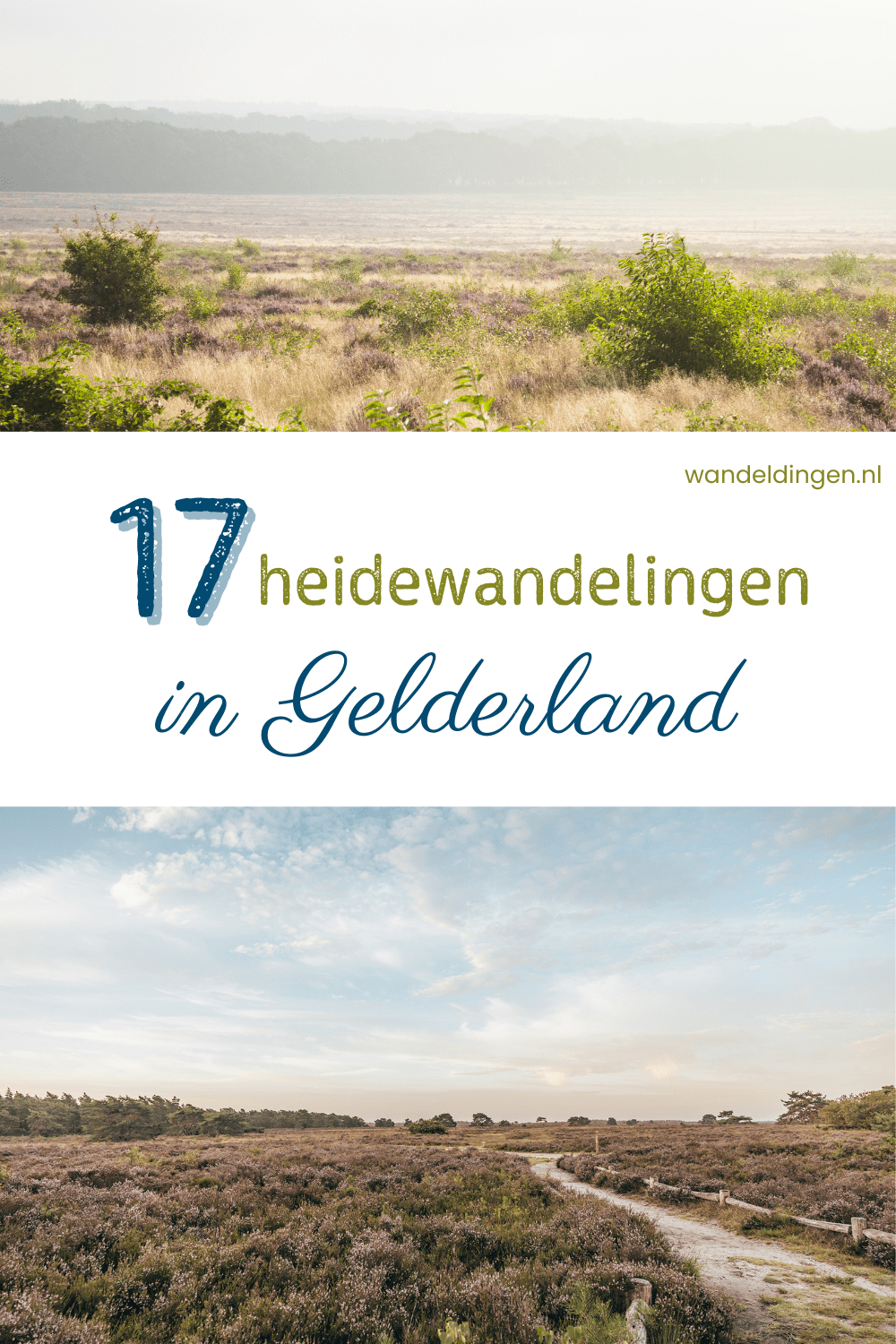 Heide Gelderland