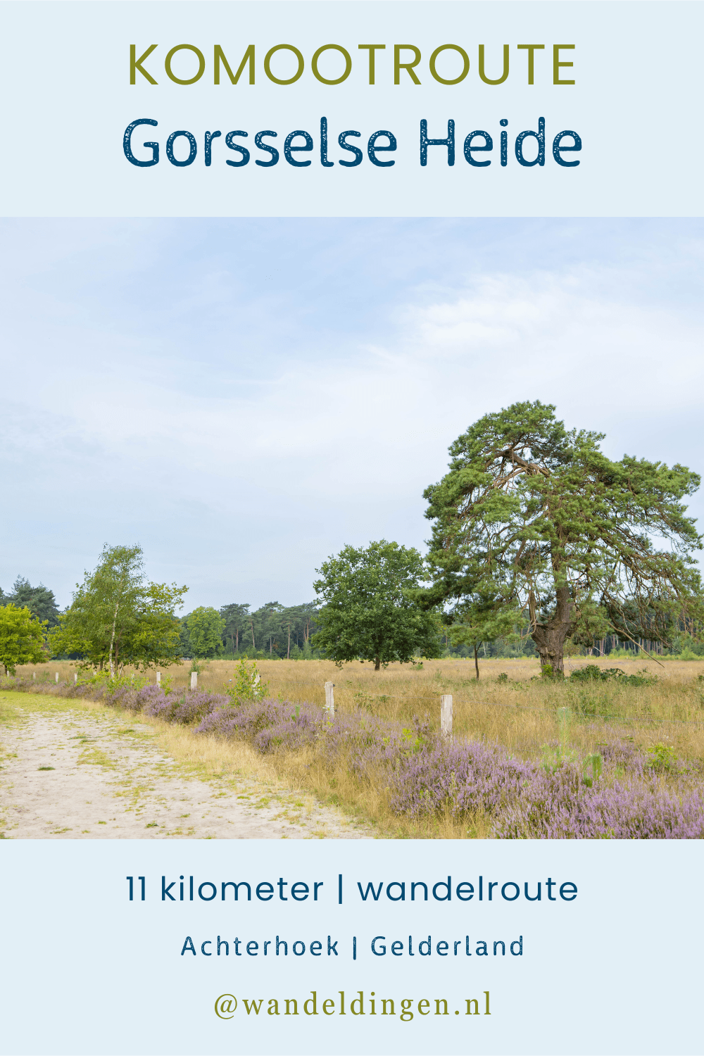 gorsselse heide