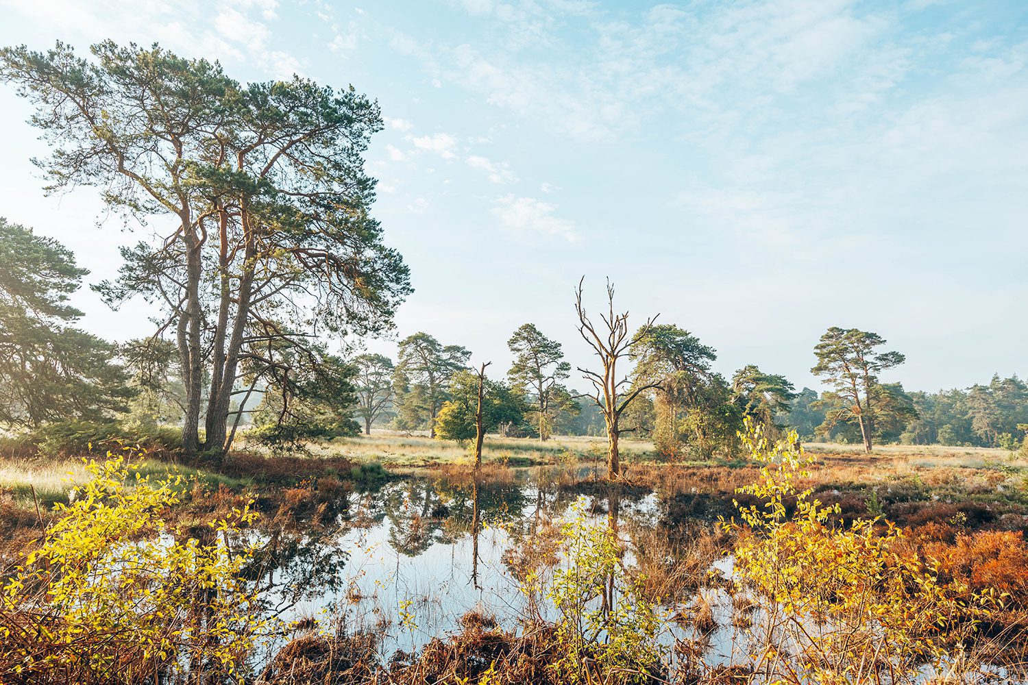 wandelen Vechtdal