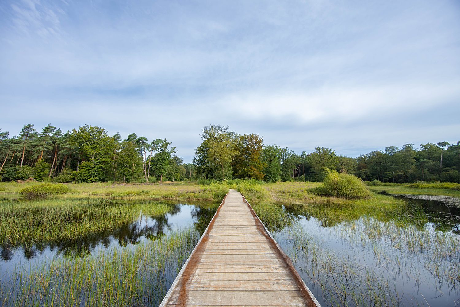 gorsselse heide