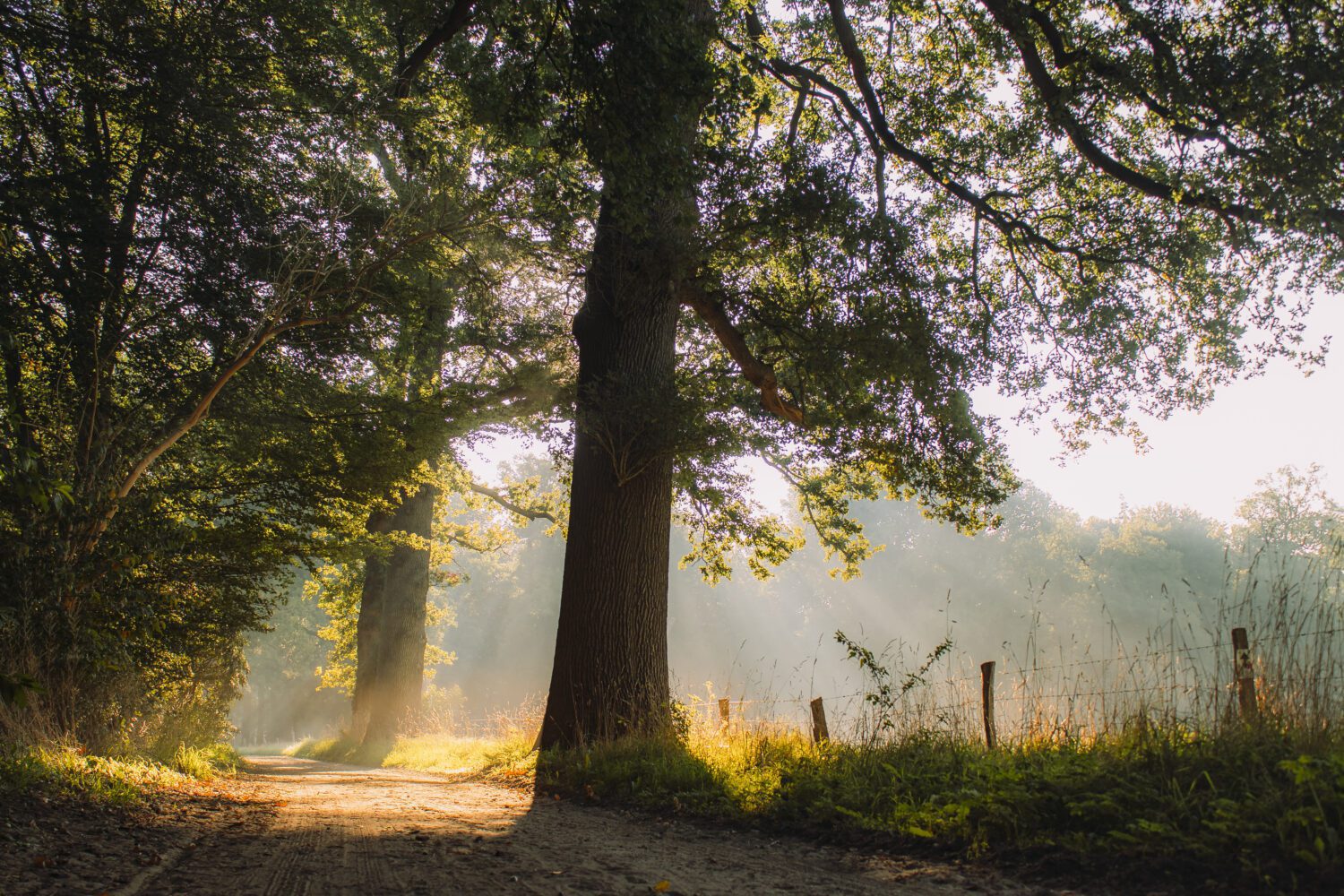 wandelen Vechtdal