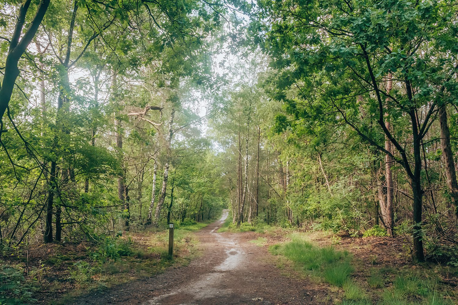 wandelen Vechtdal