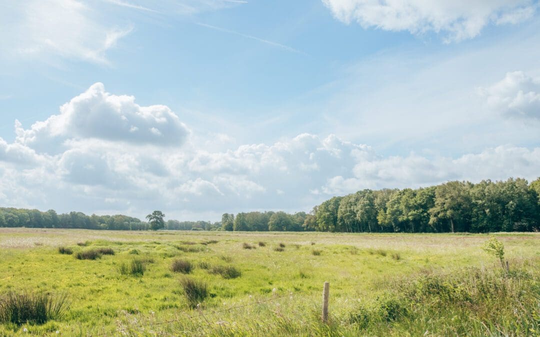 wandelen in het Vechtdal