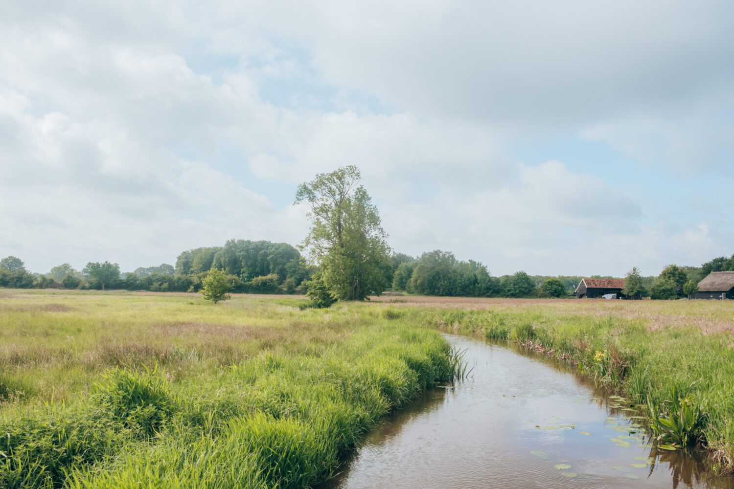 wandelen Vechtdal