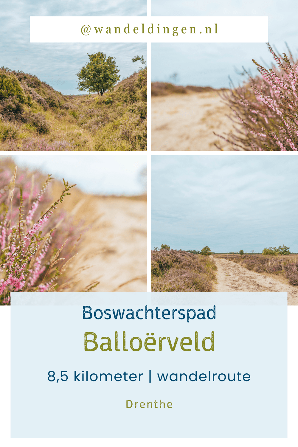 Balloërveld