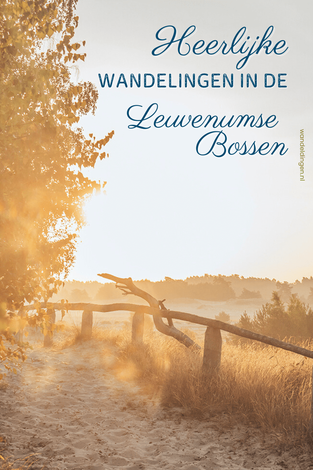 wandelen leuvenumse bossen