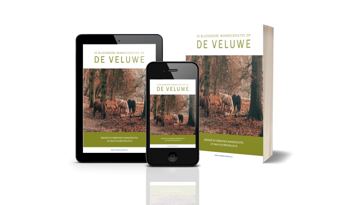 10x wandelroutes Veluwe