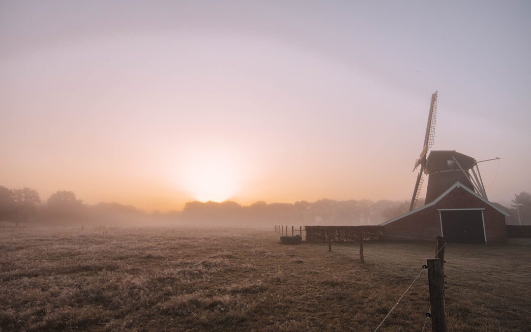 Boswachterspad Oudemolense Diep 