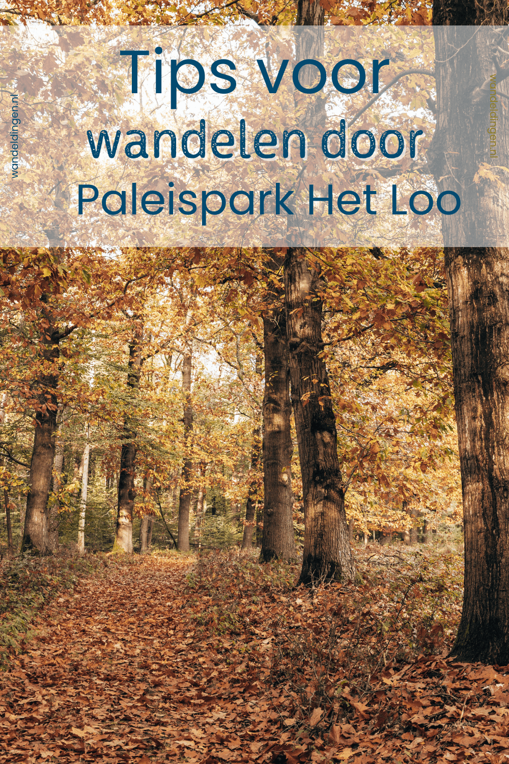 wandelroutes paleispark het loo