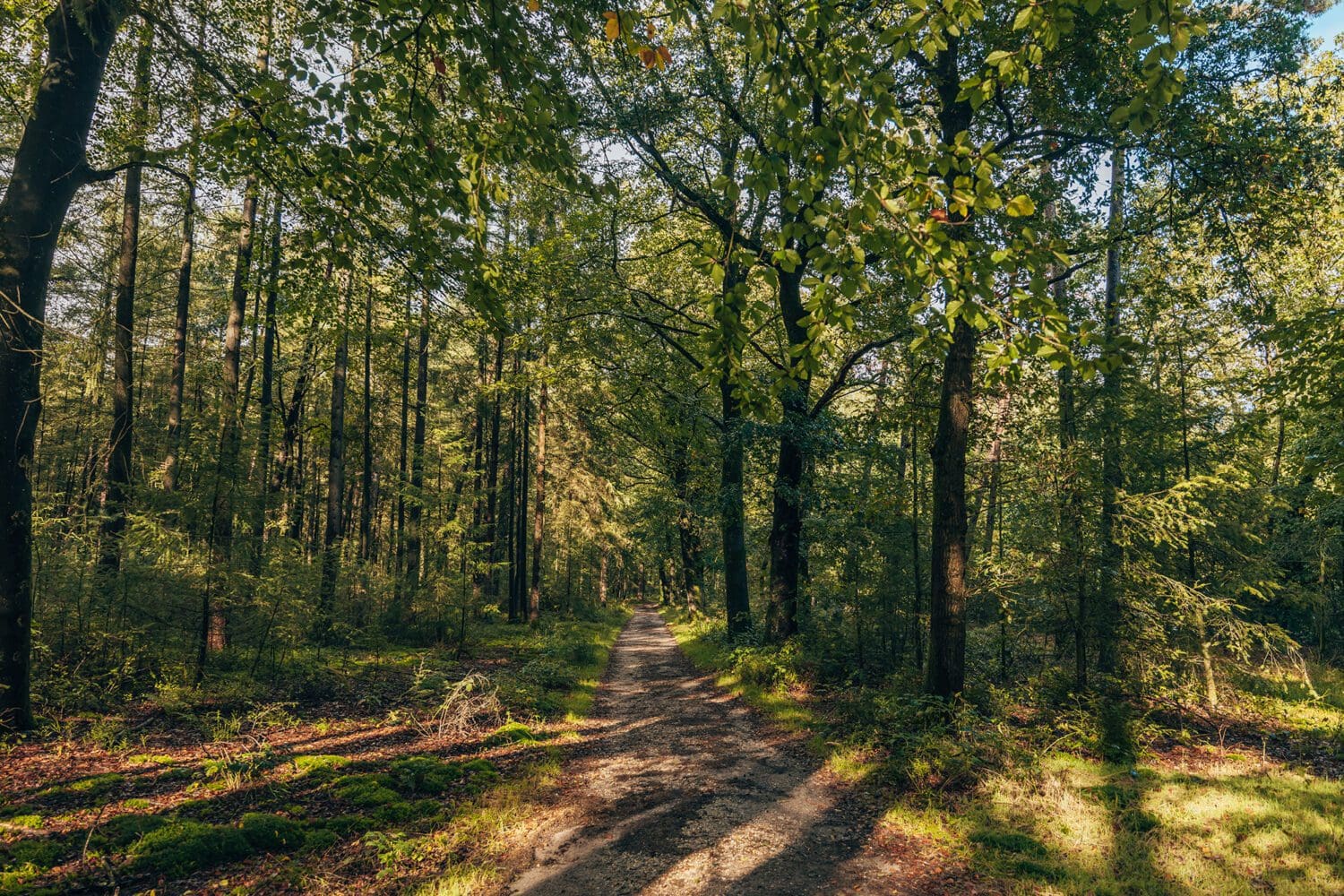 wandelroutes paleispark het loo