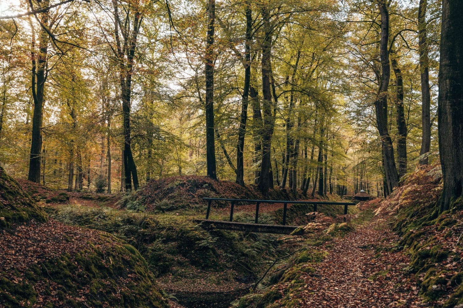 wandelroutes paleispark het loo