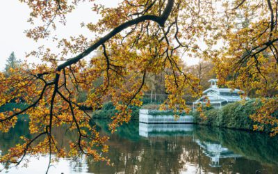 5 Wandelroutes Paleispark het Loo 