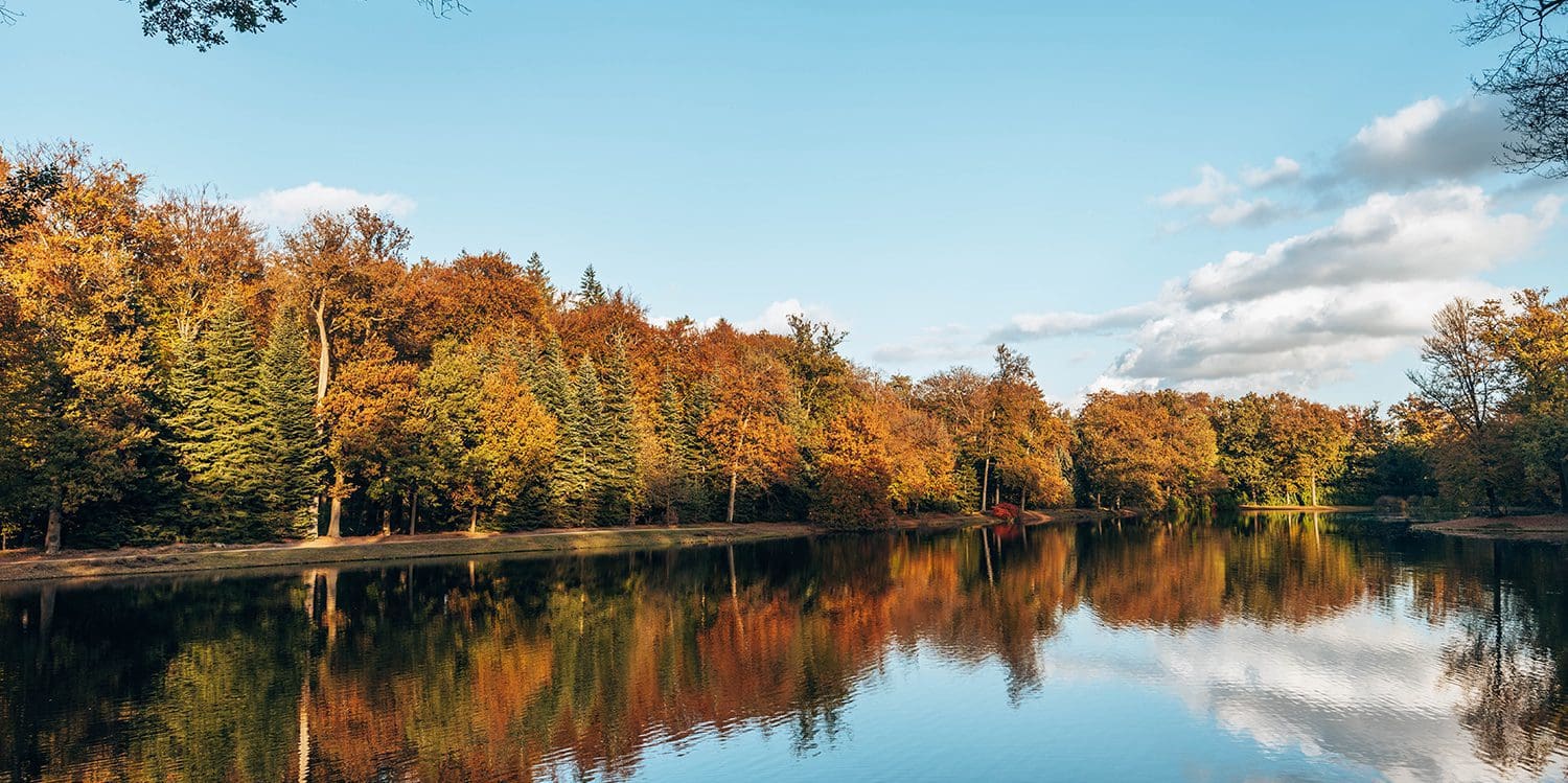 wandelroutes paleispark het loo