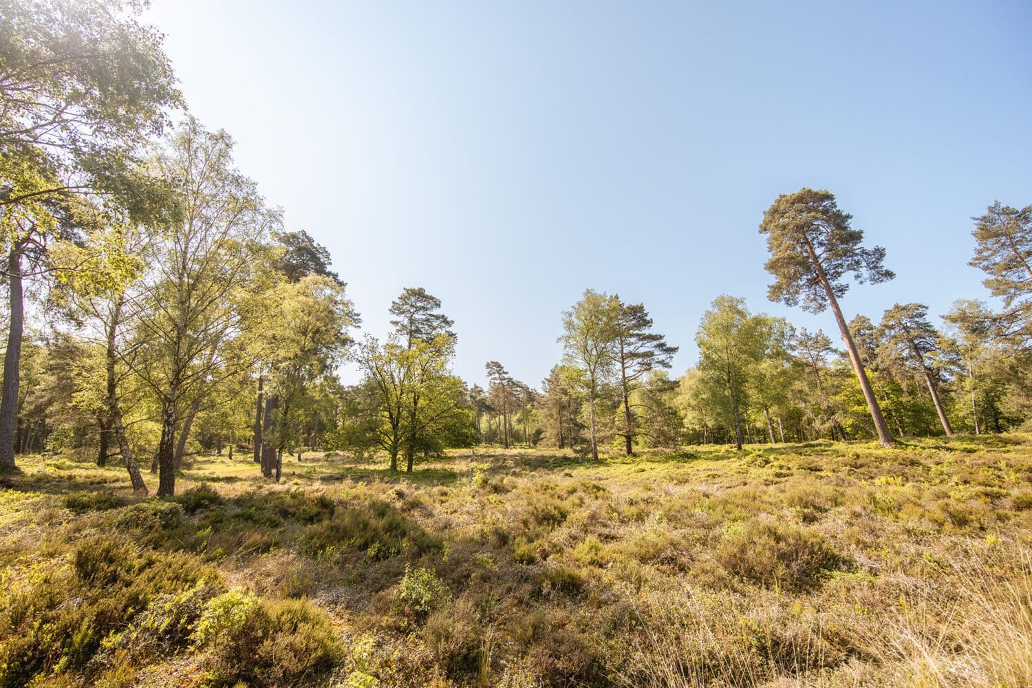 wandelroutes paleispark het loo