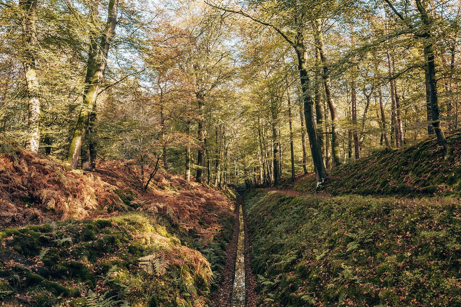 Mooiste wandelroutes Veluwe