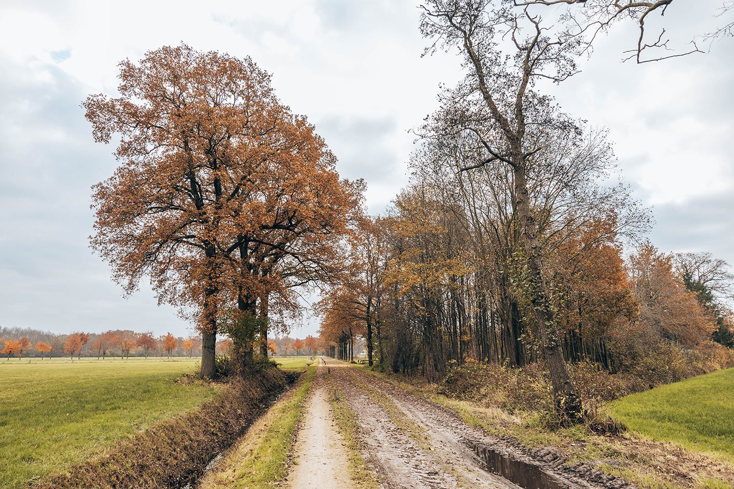 netwerkwandeling buurserzand