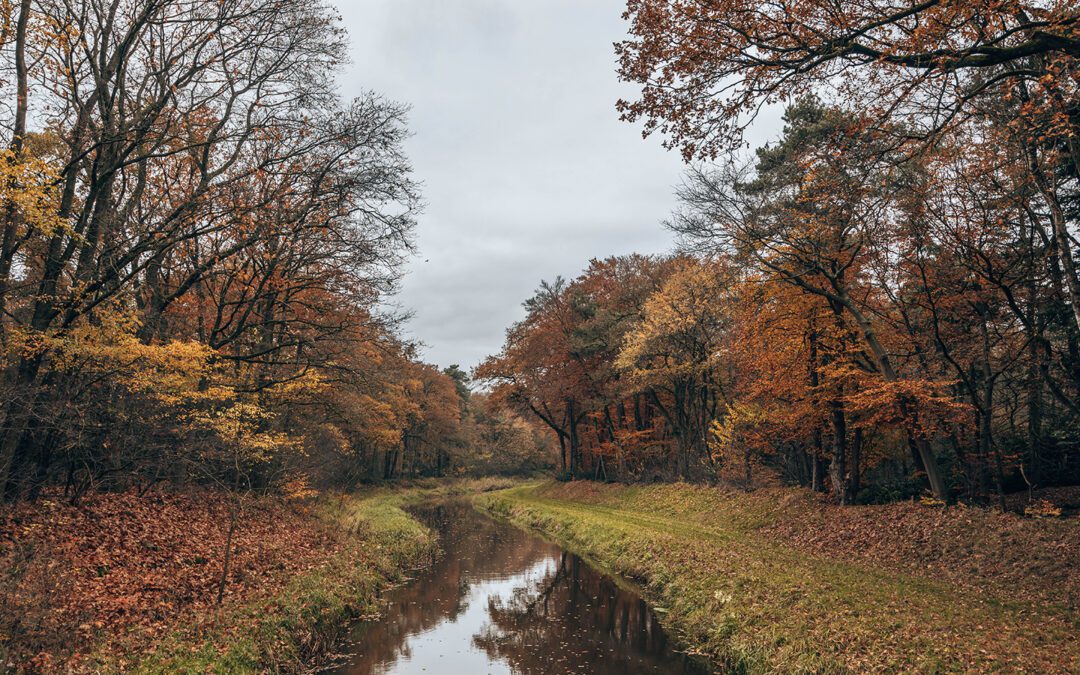 netwerkwandeling buurserzand