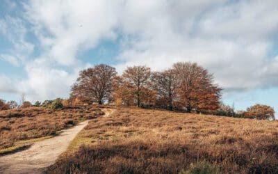 Paarse route Posbank 