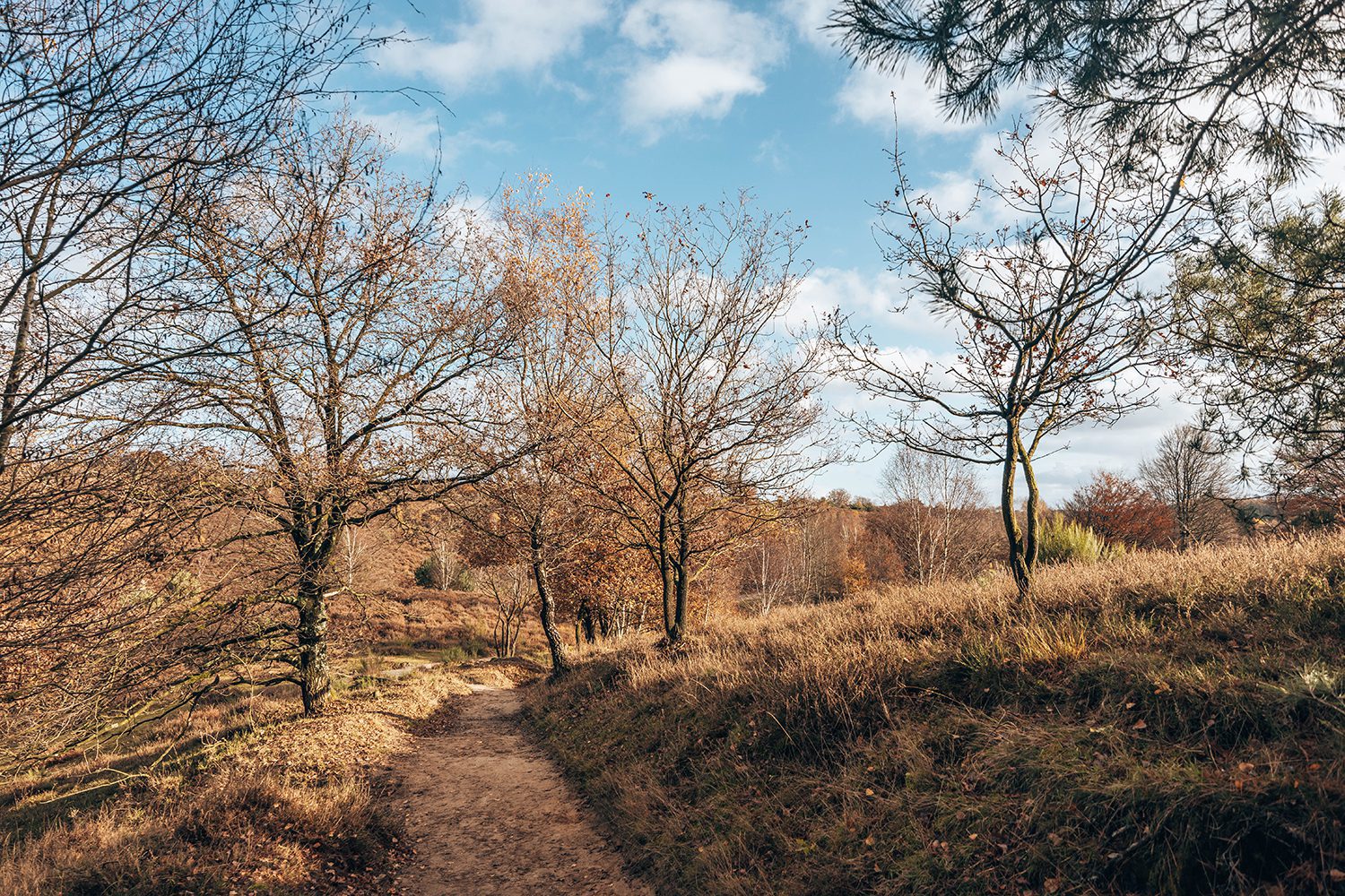 paarse route Posbank