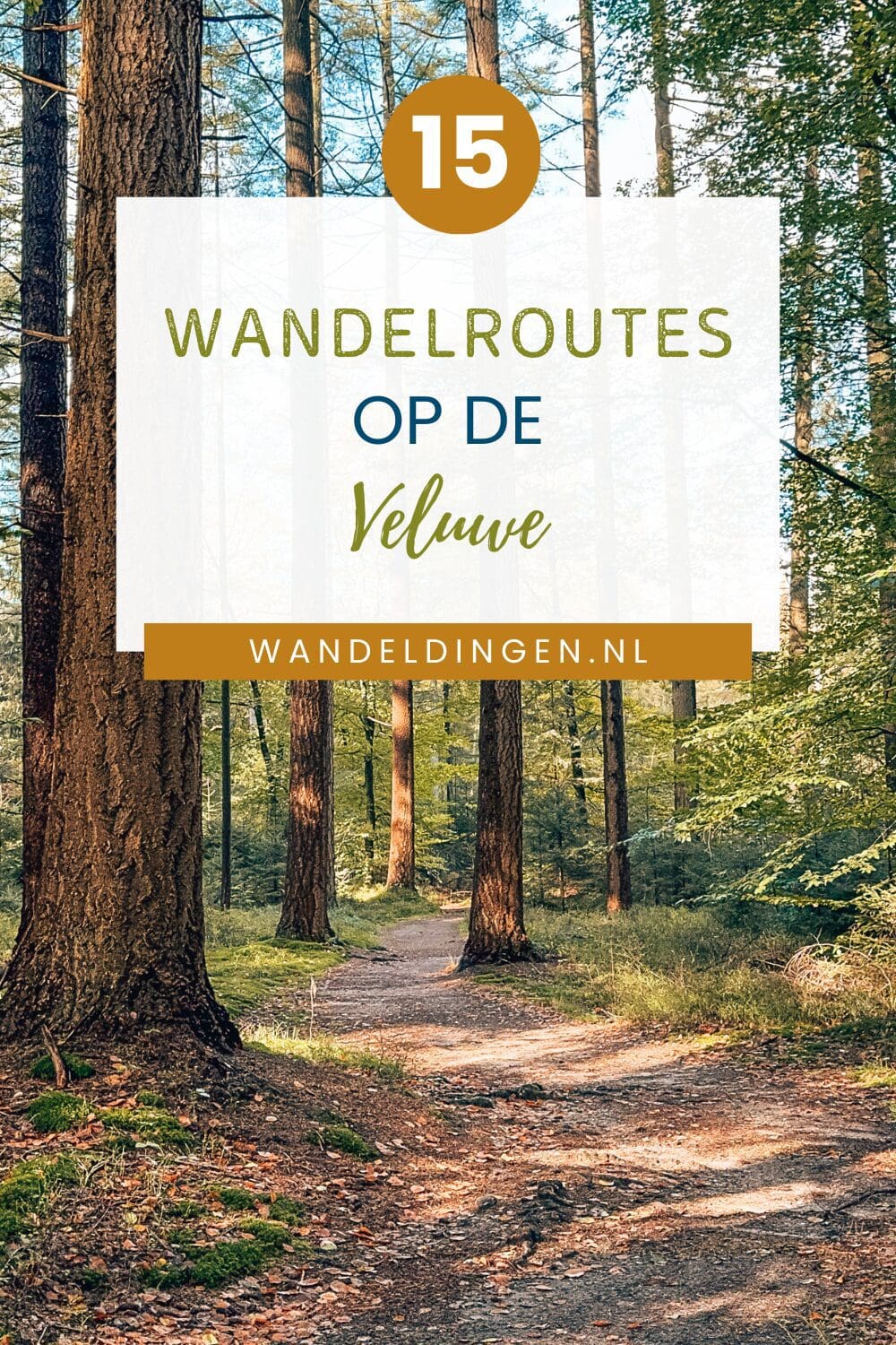 Mooiste wandelroutes Veluwe