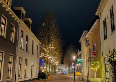 nachtwandeling Wijk bij Duurstede