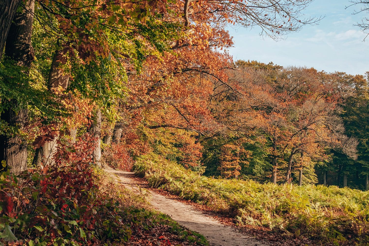 mooiste wandelroutes veluwe