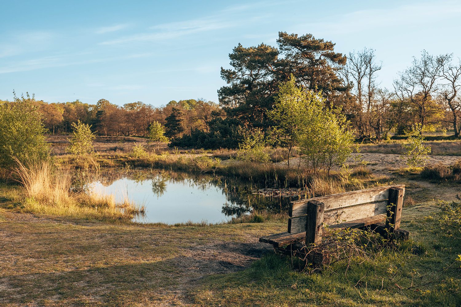 wandelroutes bij Arnhem