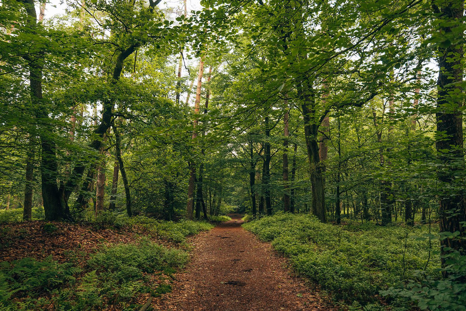 wandelroutes bij Arnhem