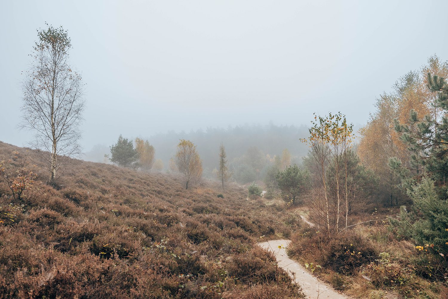 wandelen op de posbank