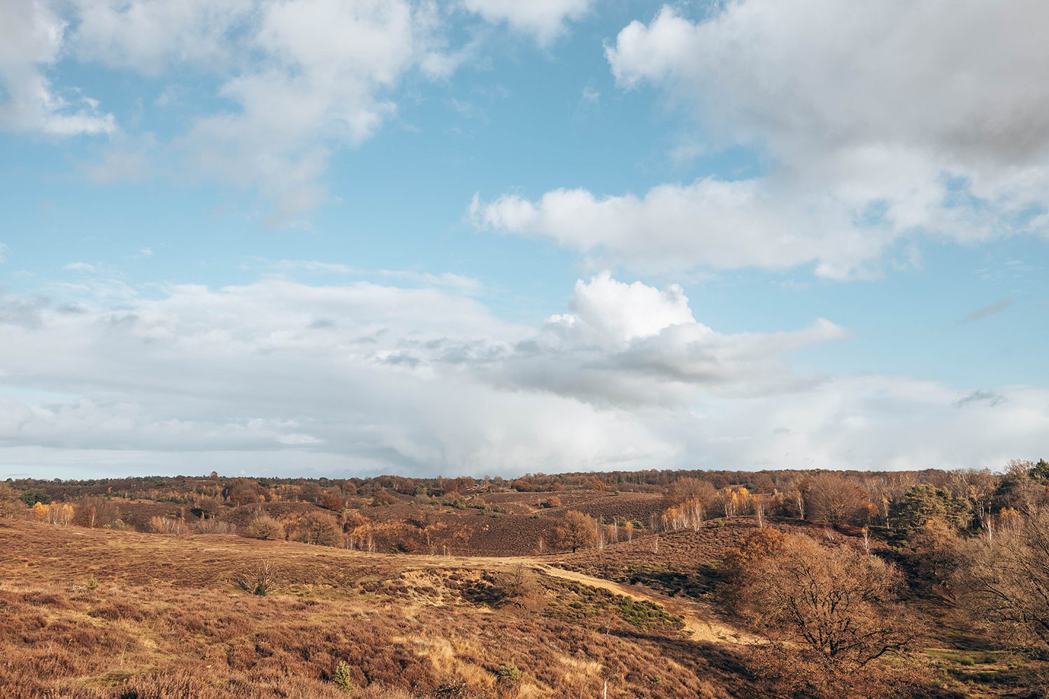 wandelen op de posbank