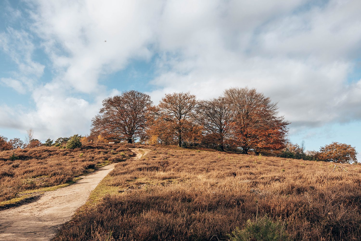 wandelen op de posbank