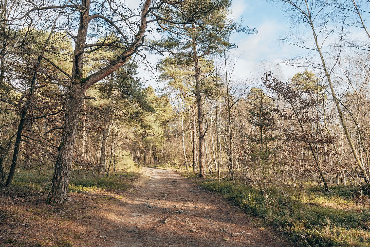 blauwe netwerkroute Nijverdal