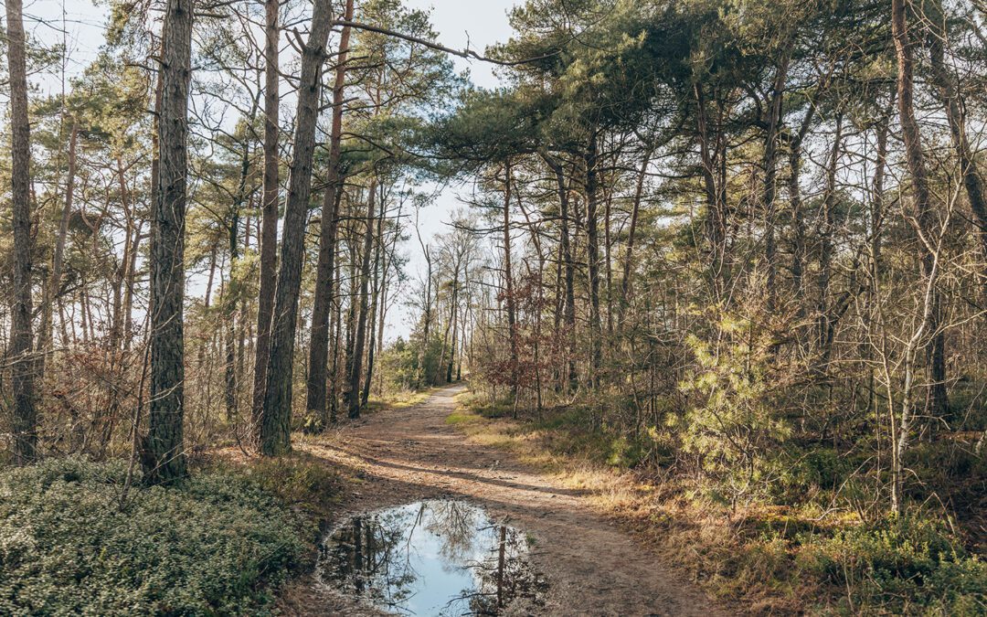 blauwe netwerkroute Nijverdal