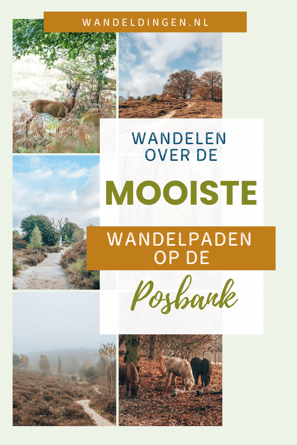 wandelen op de posbank