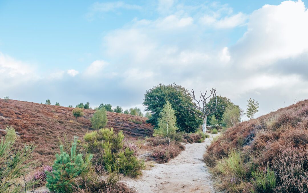 wandelen op de posbank