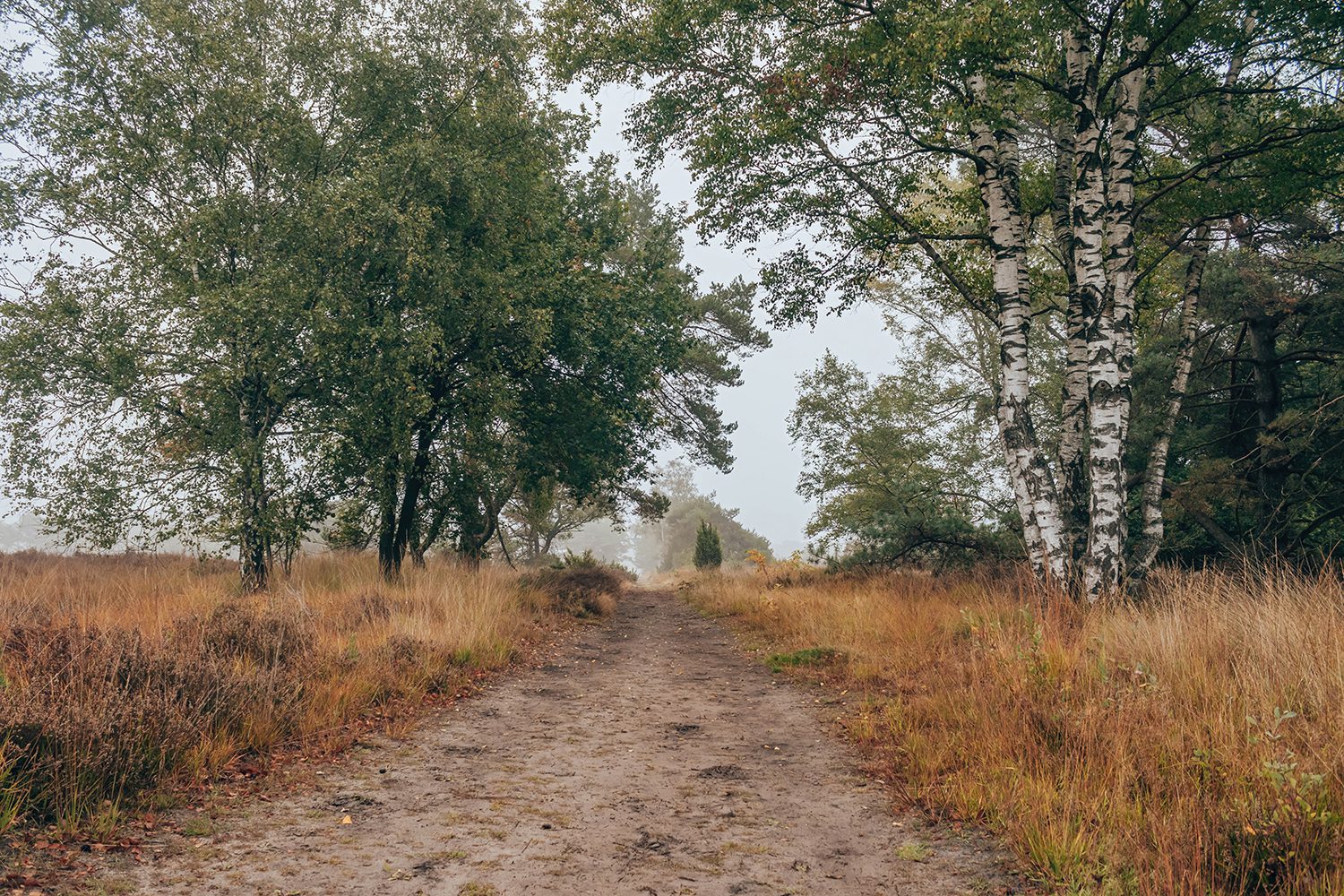 blauwe route steenhaarplassen