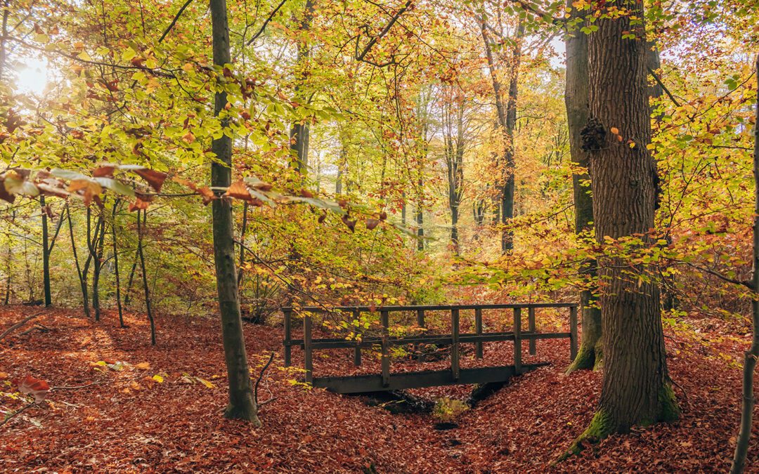 wandelroutes bij Arnhem