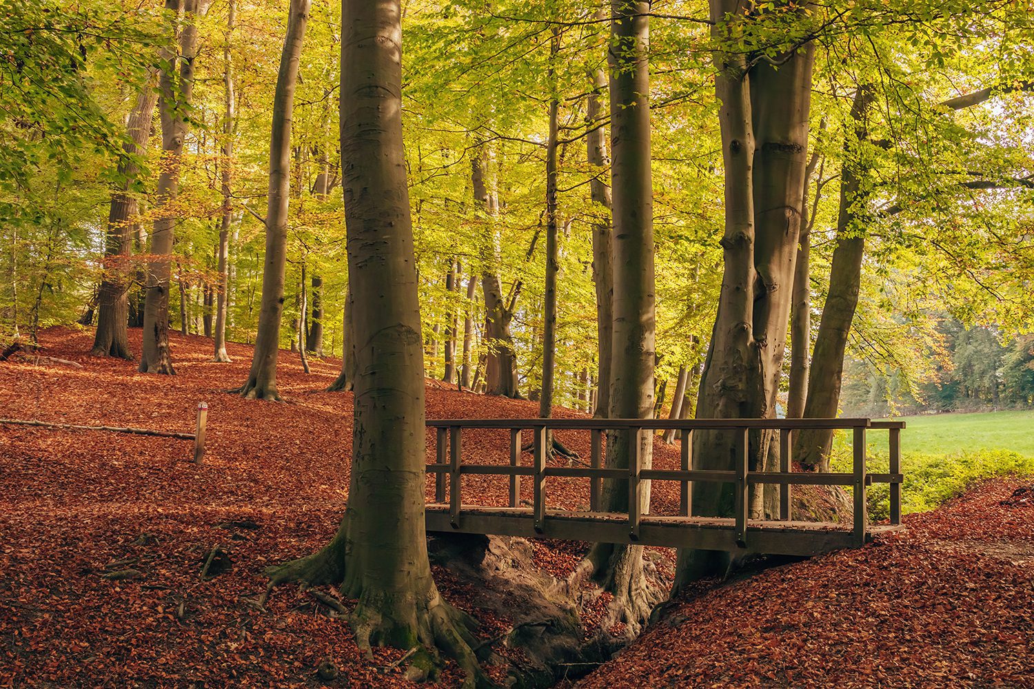 landgoederen op de Veluwe