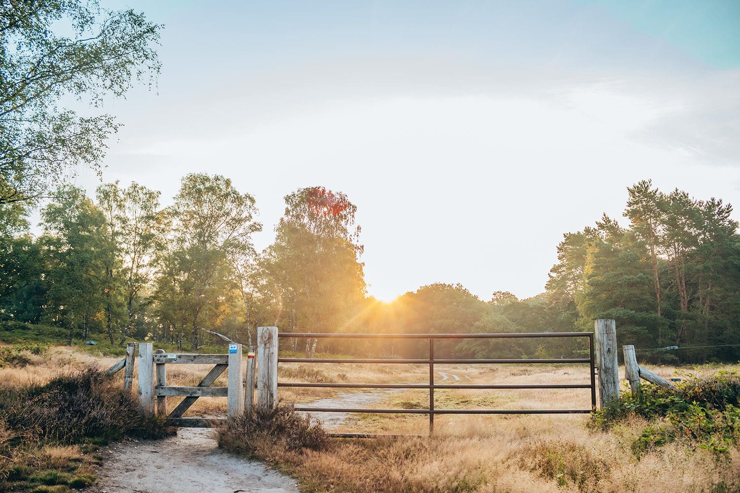 wandelroutes bij Arnhem