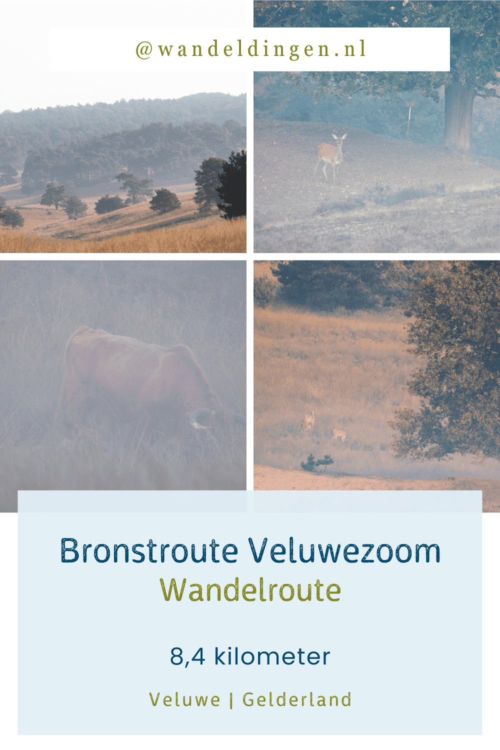 Bronstroute Veluwezoom