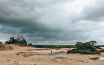 Wandelen over de 10 mooiste zandverstuivingen van Nederland 