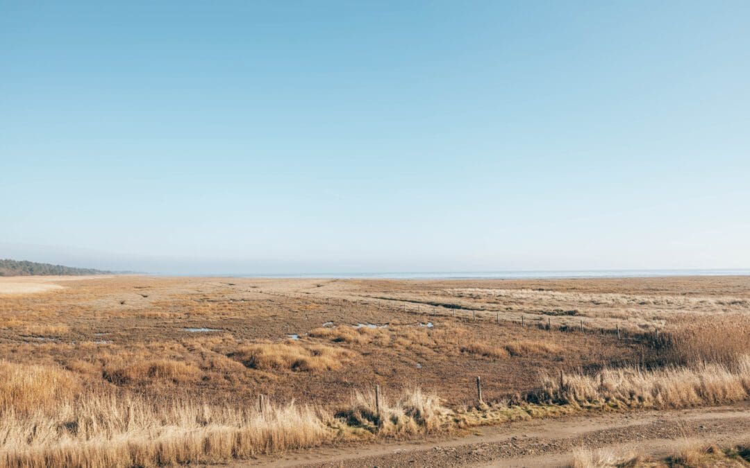 Boswachterspad Posthuiswad – Kroon’s Polder 