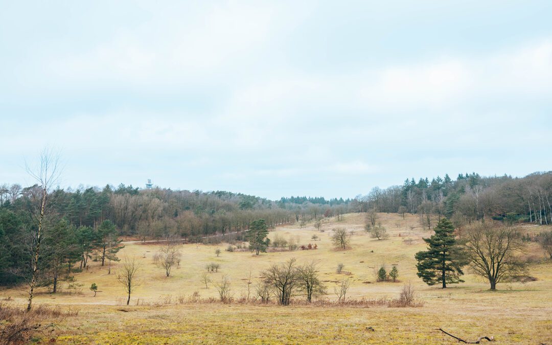 Kort & Prachtig De Paltz