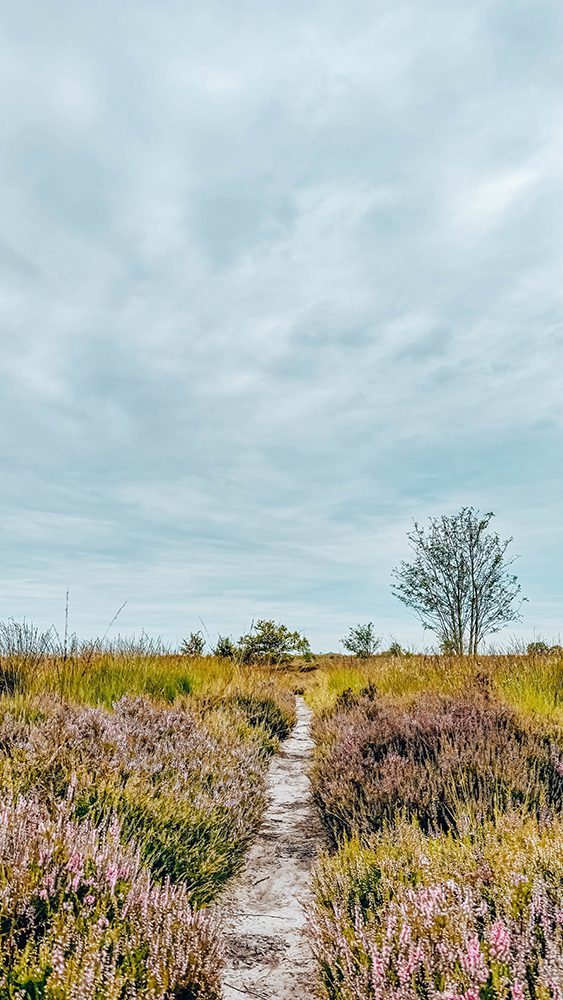 wandelroutes bij Borger