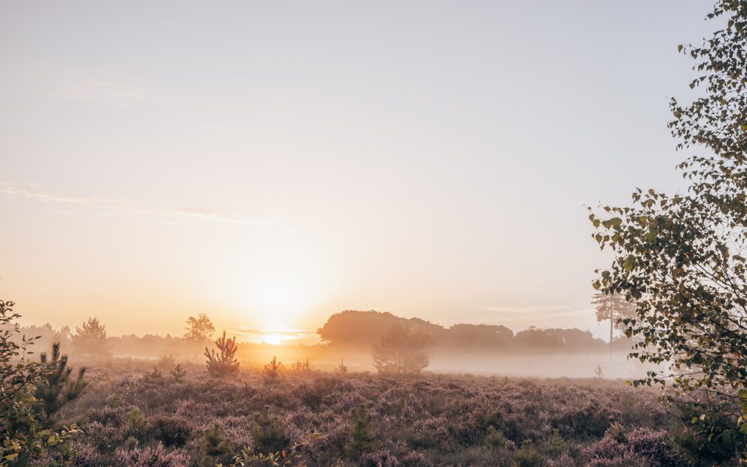 8x Wandelen rondom Zeist