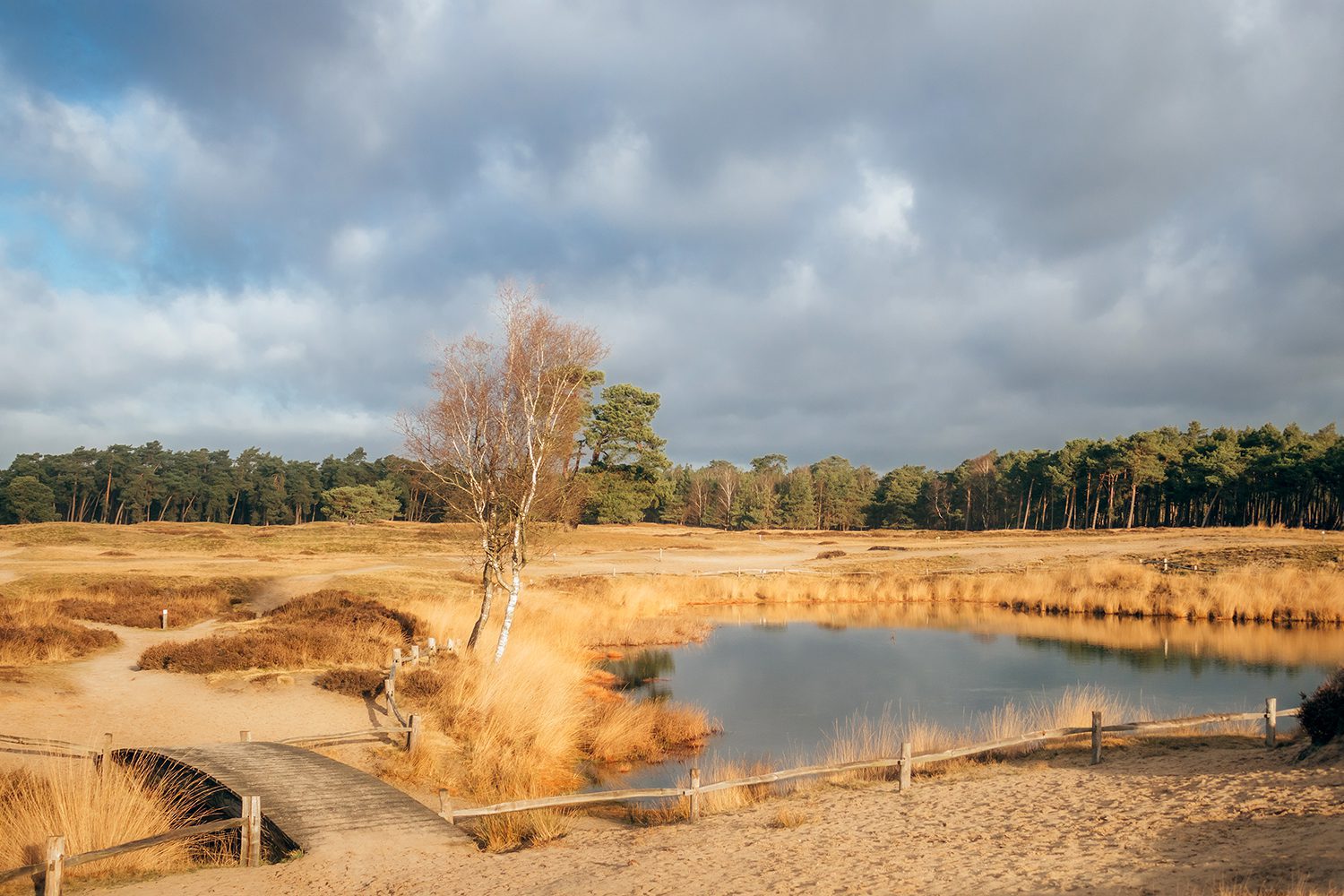 wandelen rondom zeist