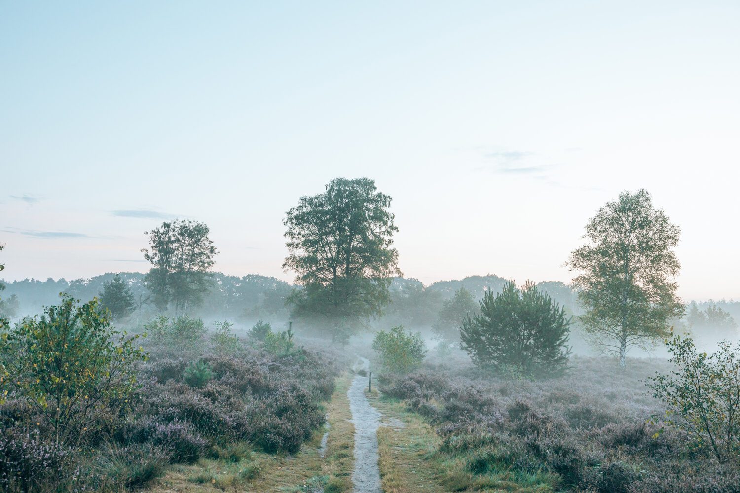 wandelen rondom zeist