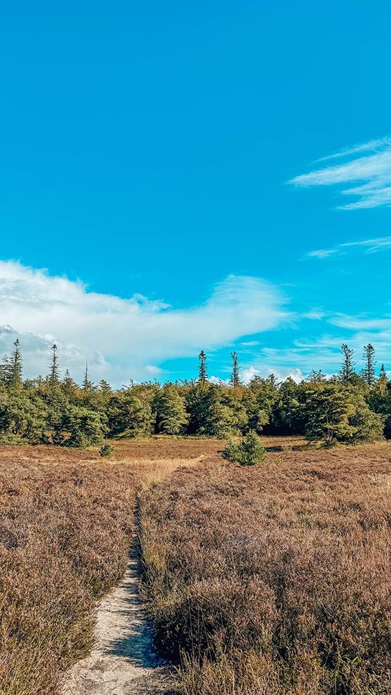 wandelroutes bij Borger